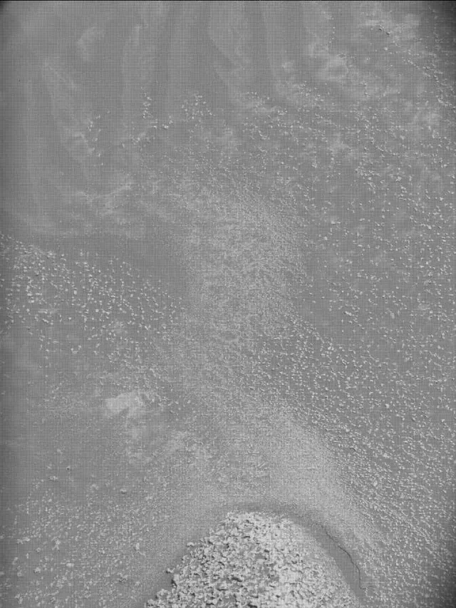 Sol 4953: Mast Camera (Mastcam)