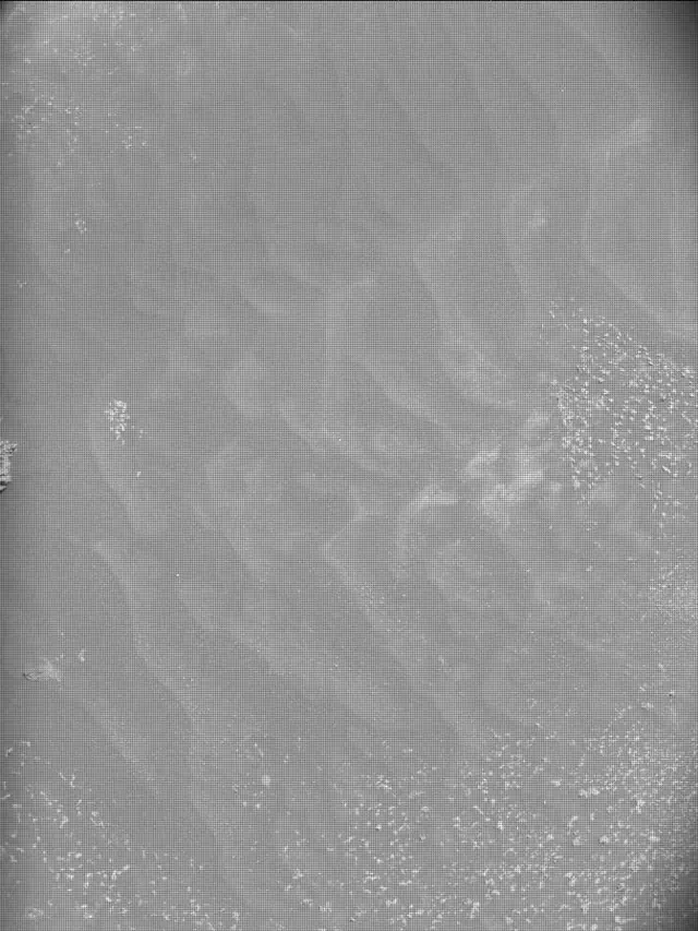 Sol 4953: Mast Camera (Mastcam)