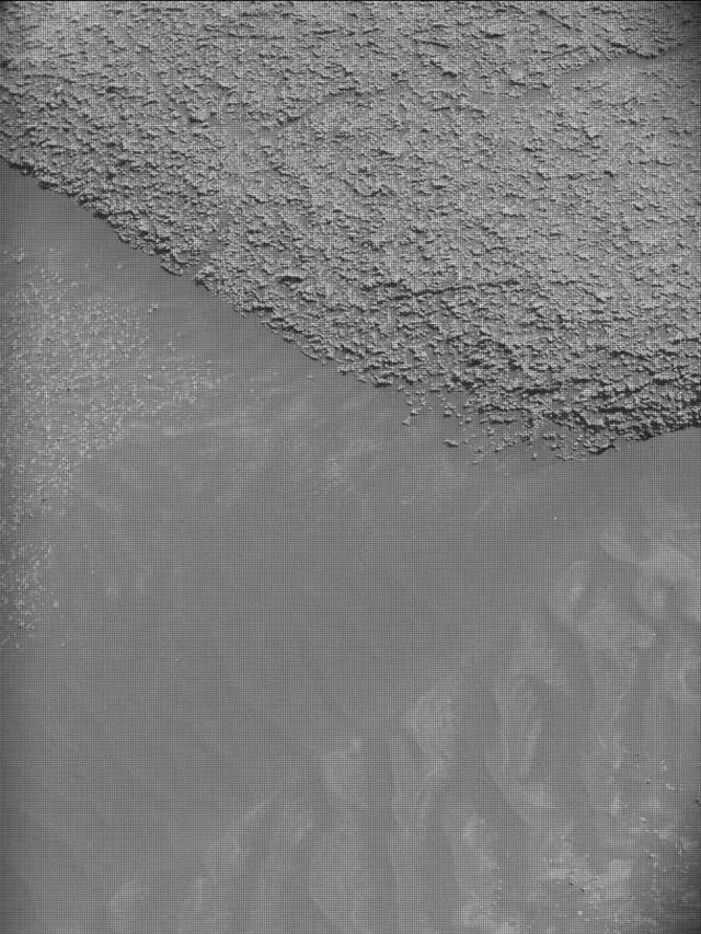 Sol 4953: Mast Camera (Mastcam)