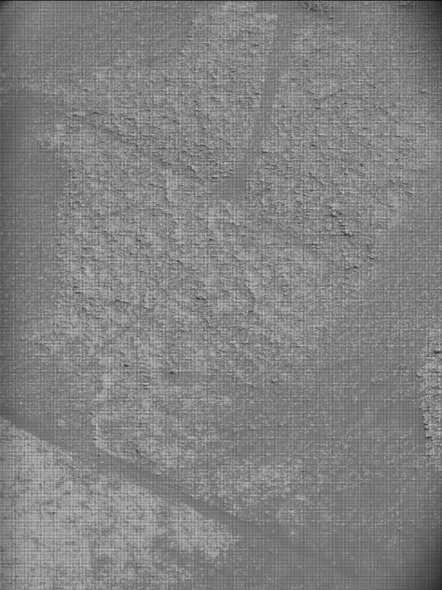 Sol 4953: Mast Camera (Mastcam)