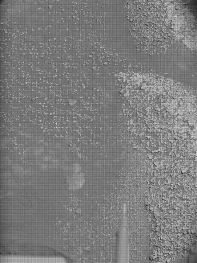 Sol 4953: Mast Camera (Mastcam)