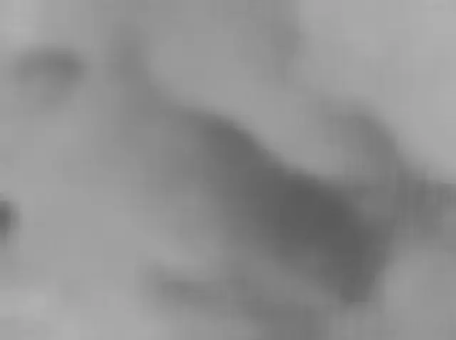 Sol 4953: Mars Hand Lens Imager (MAHLI)
