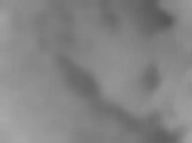 Sol 4953: Mars Hand Lens Imager (MAHLI)