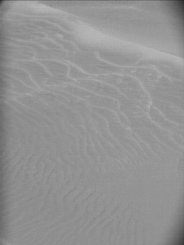 Sol 4955: Mast Camera (Mastcam)