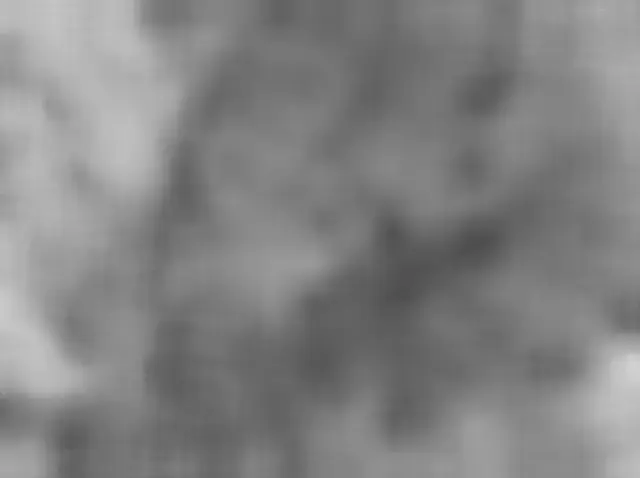 Sol 4955: Mars Hand Lens Imager (MAHLI)