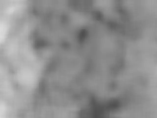 Sol 4955: Mars Hand Lens Imager (MAHLI)