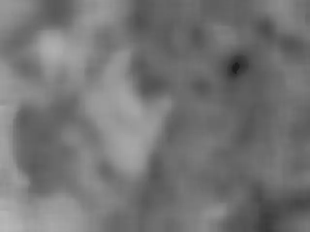 Sol 4955: Mars Hand Lens Imager (MAHLI)