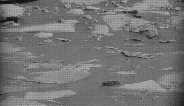 Sol 4956: Mast Camera (Mastcam)