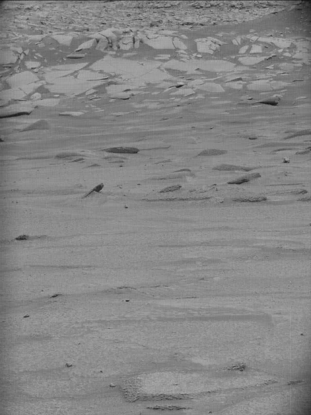 Sol 4959: Mast Camera (Mastcam)