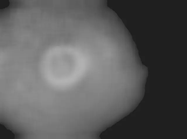 Sol 4959: Mars Hand Lens Imager (MAHLI)