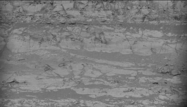 Sol 4961: Mast Camera (Mastcam)