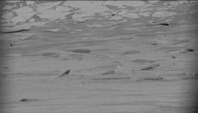 Sol 4961: Mast Camera (Mastcam)