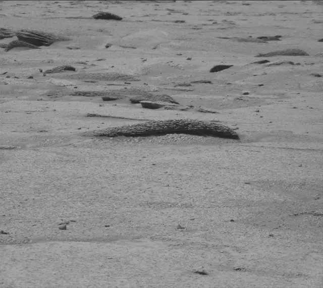 Sol 4962: Mast Camera (Mastcam)