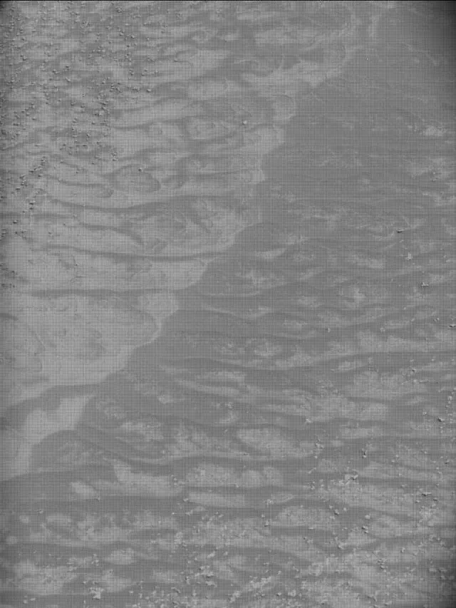 Sol 4963: Mast Camera (Mastcam)