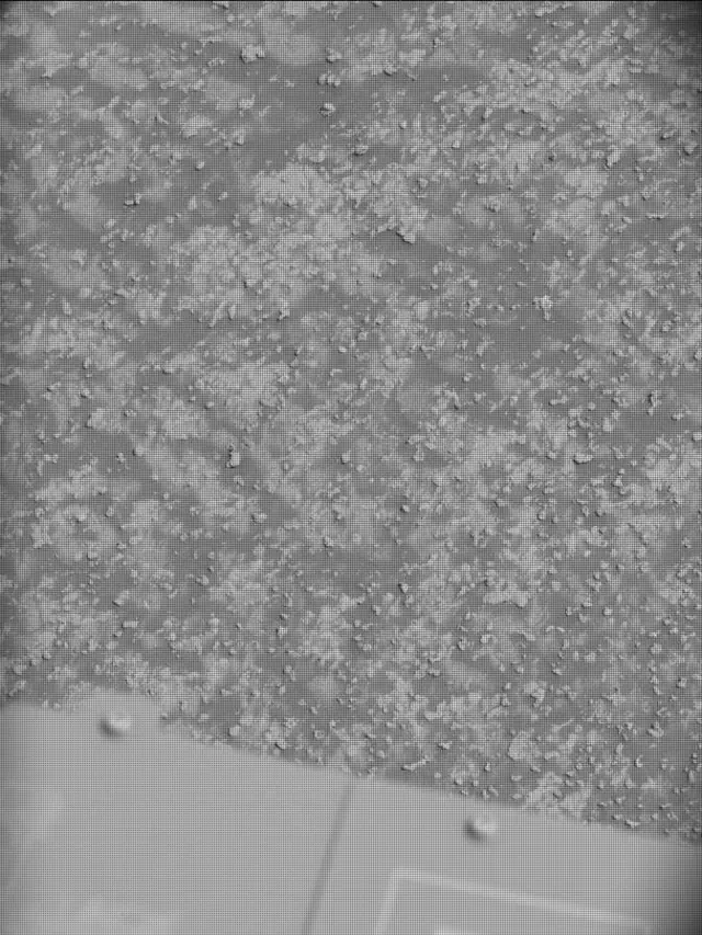 Sol 4963: Mast Camera (Mastcam)