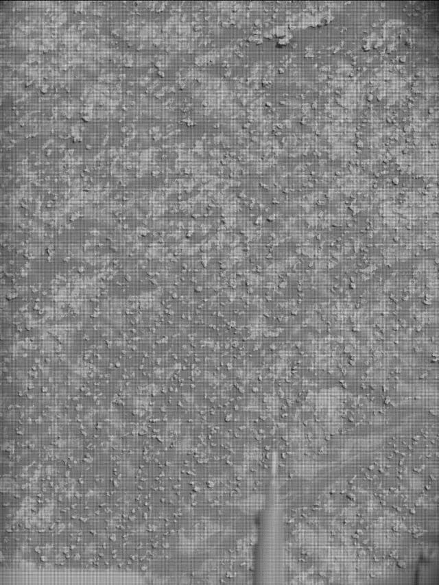 Sol 4963: Mast Camera (Mastcam)