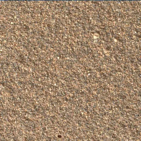 Sol 4969: Mars Hand Lens Imager (MAHLI)