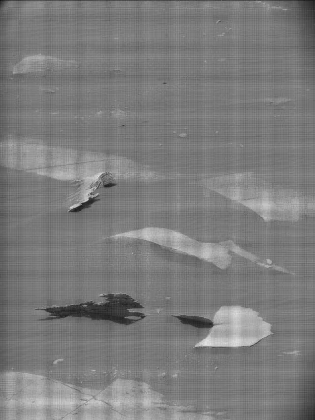 Sol 4973: Mast Camera (Mastcam)