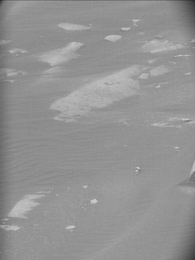 Sol 4973: Mast Camera (Mastcam)