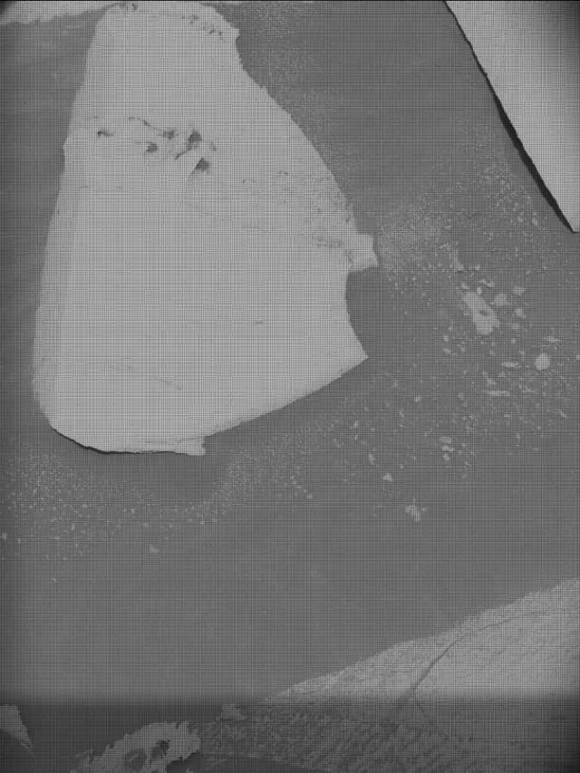 Sol 4973: Mast Camera (Mastcam)
