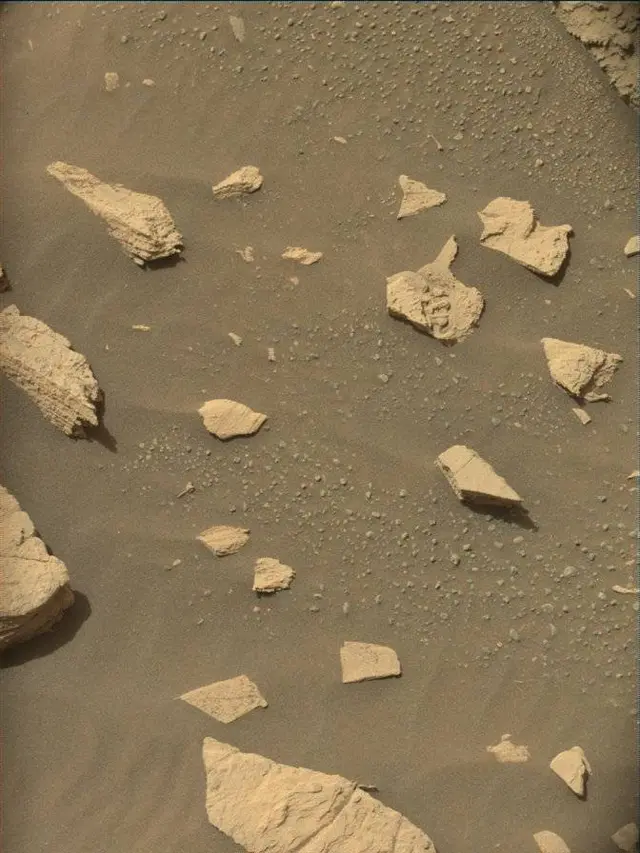 Sol 4977: Mast Camera (Mastcam)