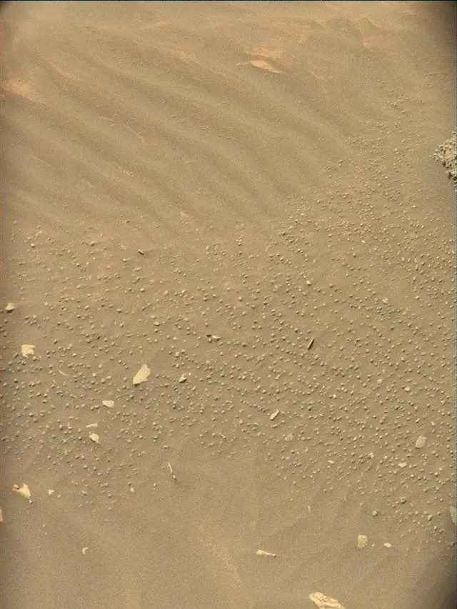 Sol 4977: Mast Camera (Mastcam)