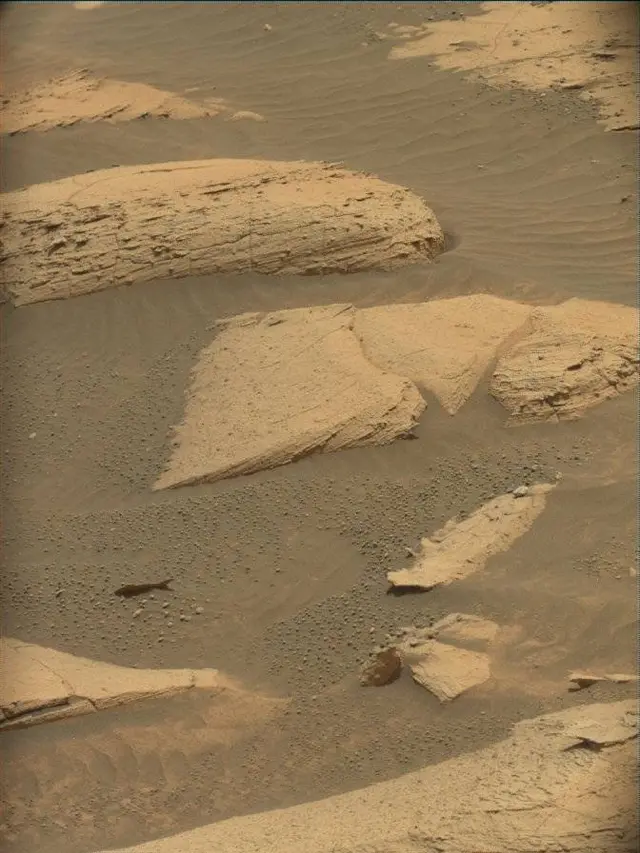 Sol 4977: Mast Camera (Mastcam)