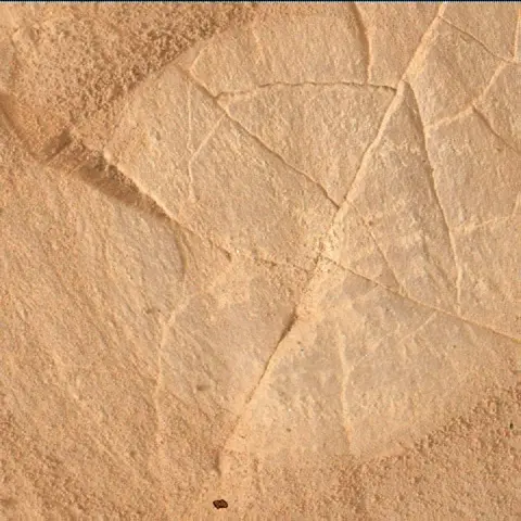 Sol 4979: Mars Hand Lens Imager (MAHLI)
