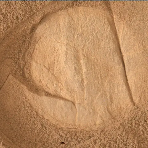Sol 4979: Mars Hand Lens Imager (MAHLI)