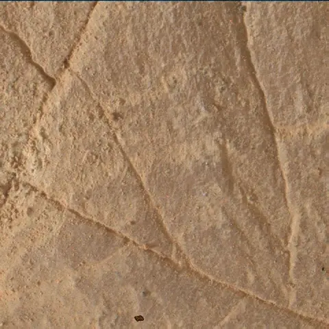 Sol 4979: Mars Hand Lens Imager (MAHLI)