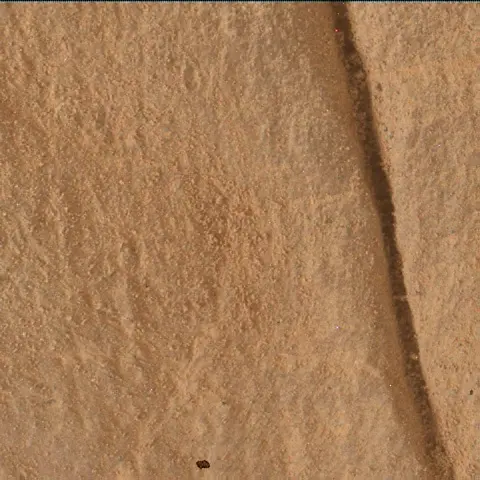 Sol 4979: Mars Hand Lens Imager (MAHLI)