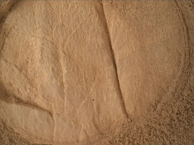 Sol 4979: Mars Hand Lens Imager (MAHLI)