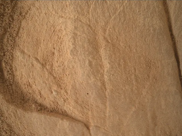 Sol 4979: Mars Hand Lens Imager (MAHLI)
