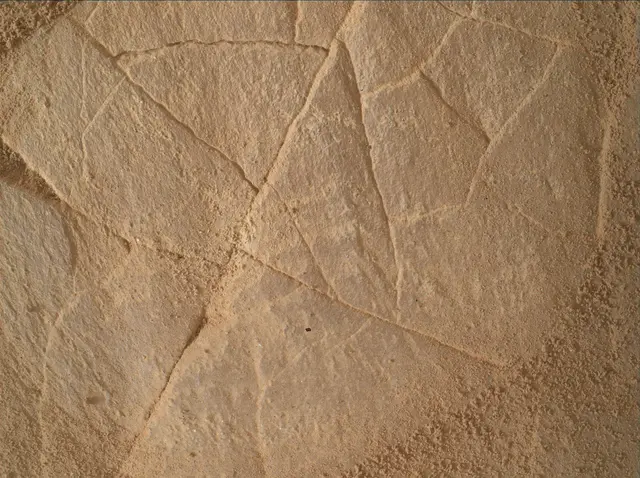 Sol 4980: Mars Hand Lens Imager (MAHLI)