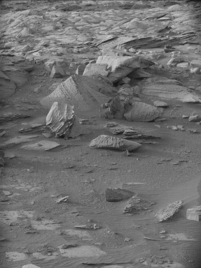 Sol 4982: Mast Camera (Mastcam)