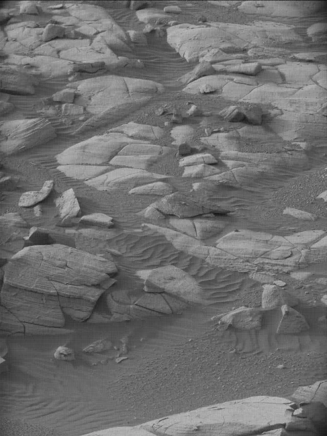 Sol 4982: Mast Camera (Mastcam)