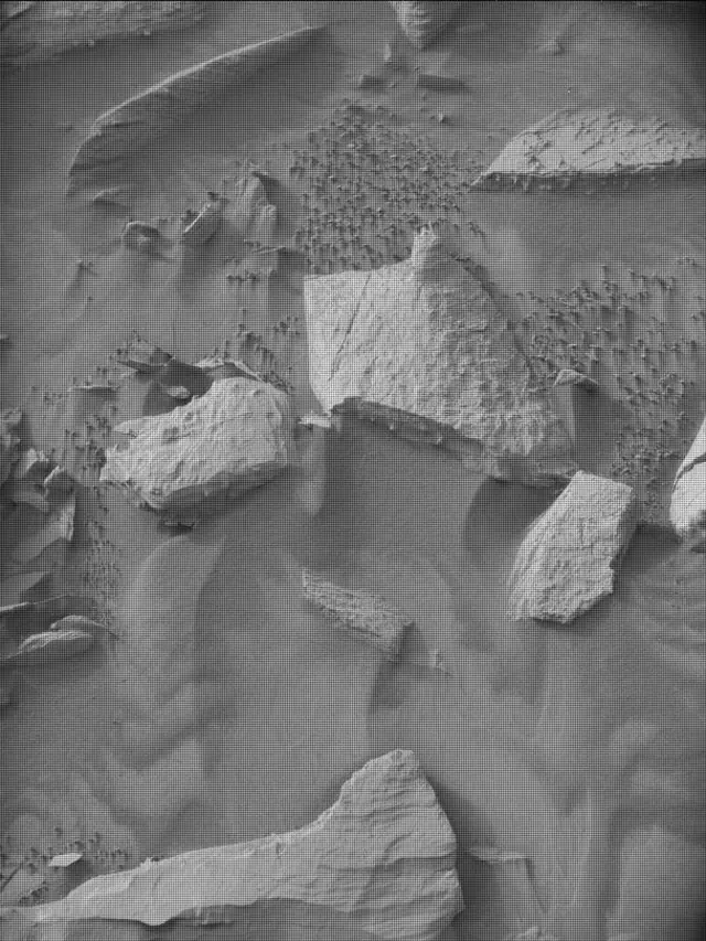 Sol 4982: Mast Camera (Mastcam)