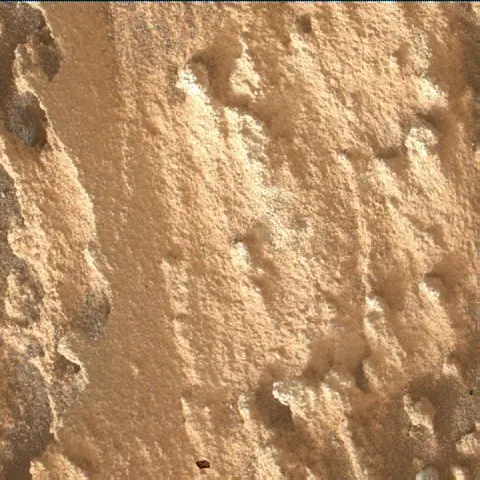Sol 4982: Mars Hand Lens Imager (MAHLI)