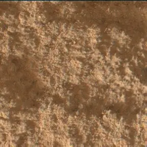 Sol 4982: Mars Hand Lens Imager (MAHLI)