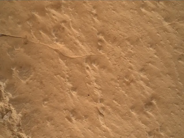 Sol 4985: Mars Hand Lens Imager (MAHLI)