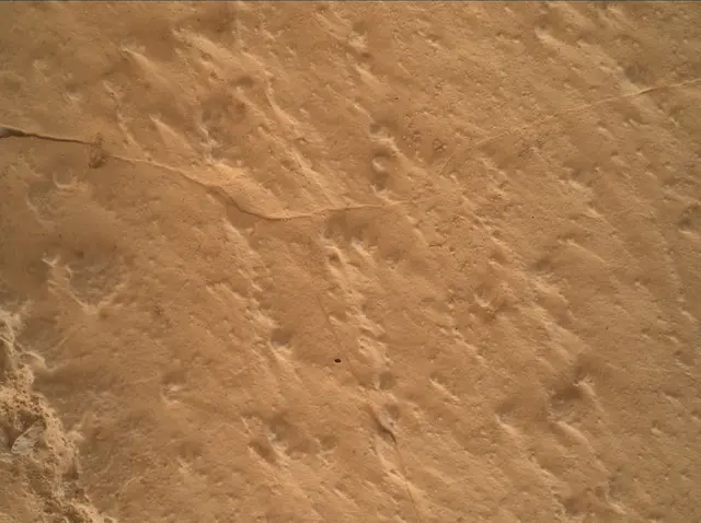 Sol 4985: Mars Hand Lens Imager (MAHLI)