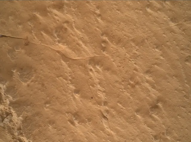 Sol 4985: Mars Hand Lens Imager (MAHLI)