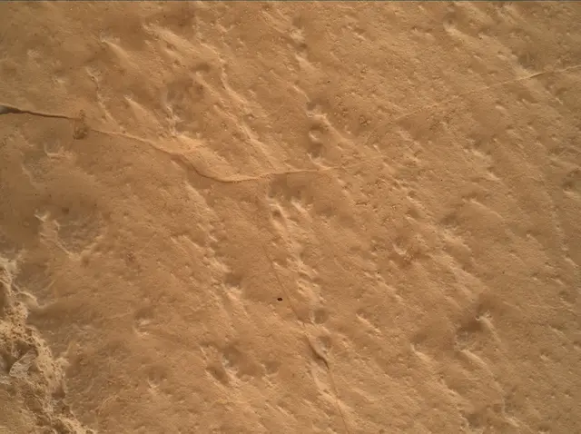 Sol 4985: Mars Hand Lens Imager (MAHLI)
