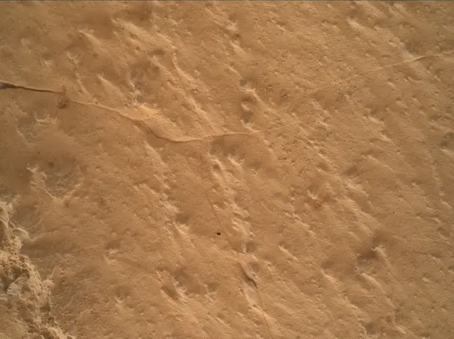 Sol 4985: Mars Hand Lens Imager (MAHLI)