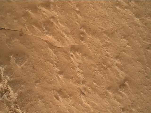 Sol 4985: Mars Hand Lens Imager (MAHLI)