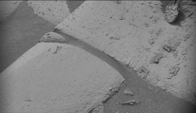 Sol 4989: Mast Camera (Mastcam)