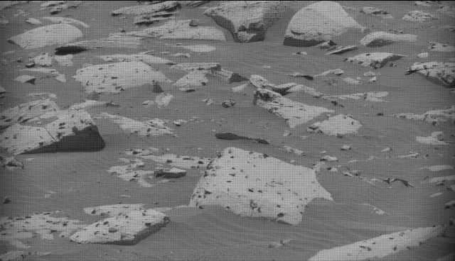 Sol 4995: Mast Camera (Mastcam)