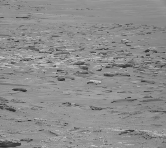 Sol 4995: Mast Camera (Mastcam)