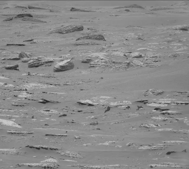 Sol 4995: Mast Camera (Mastcam)