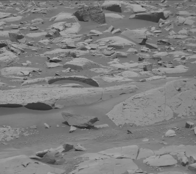 Sol 4995: Mast Camera (Mastcam)